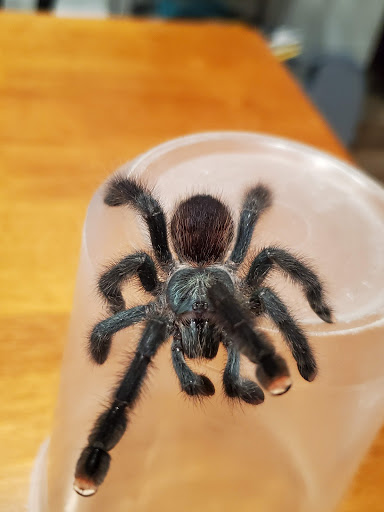 Pet Supply Store «Pet Supplies Plus», reviews and photos, 1411 S Stockton St, Lodi, CA 95240, USA