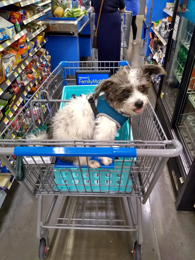 Department Store «Walmart Supercenter», reviews and photos, 762 Outlet Collection Way, Auburn, WA 98001, USA