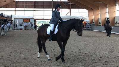 Centre equestre poney club Pau-Malaussanne à Malaussanne