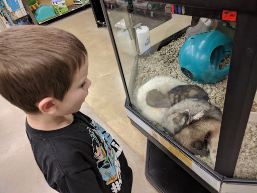 Pet Supply Store «Petco Animal Supplies», reviews and photos, 28400 Dequindre Rd, Warren, MI 48092, USA