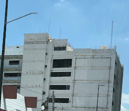 Golden Fish, taco fish baja style photo