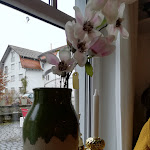 Photo n°2 de l'avis de Linda.� fait le 12/04/2019 à 11:09 sur le  Mein Sahnehäubchen à Königsfeld im Schwarzwald