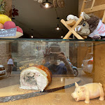 Photo n°2 de l'avis de Kate.m fait le 14/07/2021 à 10:17 sur le  Mangia.Bevi.Ama à Assisi