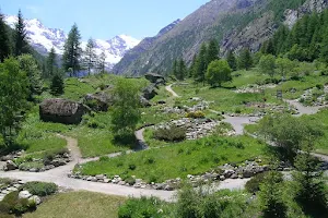 Giardino botanico alpino Paradisia image