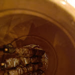 Photo n°1 de l'avis de Beppe.n fait le 11/10/2023 à 19:03 sur le  La Civitella Pizzeria Braceria à Chieti