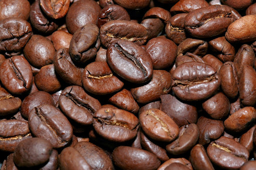 Coffee Store «White Mountain Gourmet Coffee», reviews and photos, 15 Pleasant St, Concord, NH 03301, USA