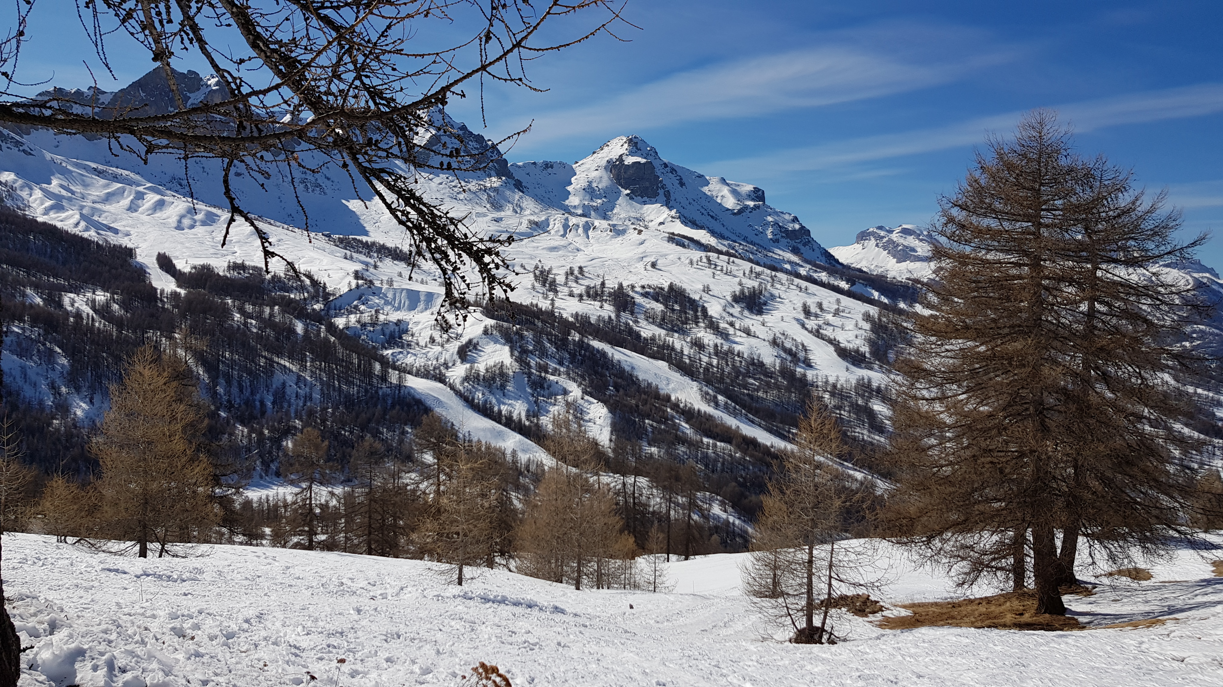 Photo n° 2 de l'avis de Vektor.e fait le 22/02/2019 à 16:55