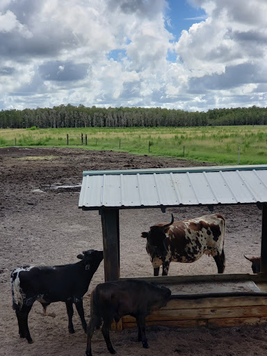 Tourist Attraction «Forever Florida», reviews and photos, 4755 North Kenansville Road, St Cloud, FL 34773, USA