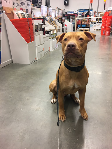 Home Improvement Store «The Home Depot», reviews and photos, 125 Reuben Bell Dr, Matamoras, PA 18336, USA