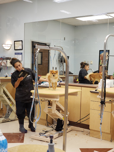 Pet Supply Store «PetSmart», reviews and photos, 2901 Texas Sage Trail, Fort Worth, TX 76177, USA