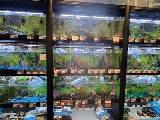 Pet Supply Store «PetSmart», reviews and photos, 4400 Fort Jackson Blvd #300, Columbia, SC 29209, USA