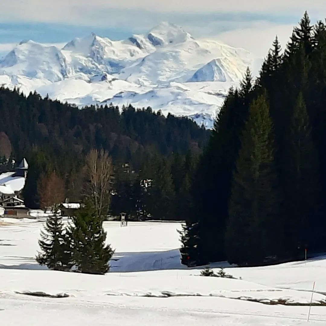 Photo n° 2 de l'avis de Roselyne.h fait le 15/03/2023 à 12:58