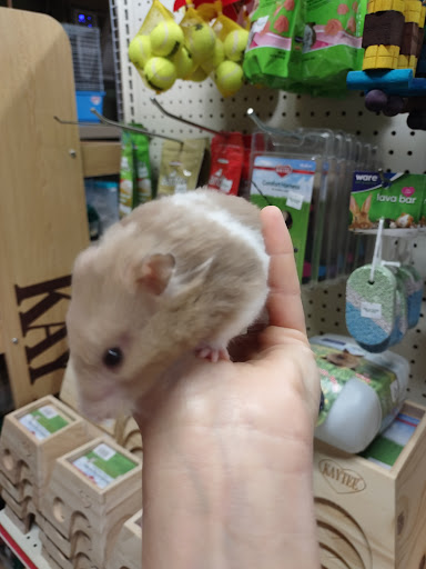 Pet Store «Gills And Thrills Pet Shop», reviews and photos, 204 E 8th St, Lockport, IL 60441, USA