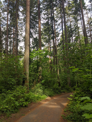 Nature Preserve «Lowami Hart Woods Natural Area», reviews and photos, 14895 SW Hart Rd, Beaverton, OR 97007, USA