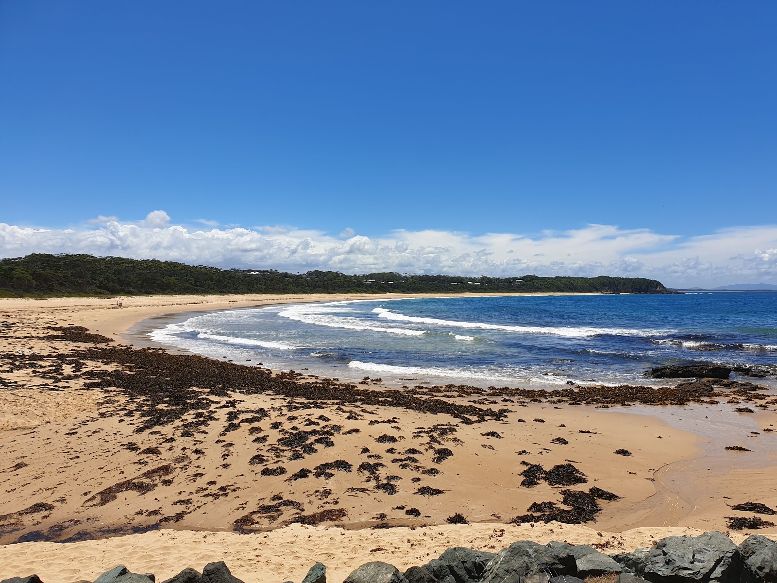 Black Head Beach photo #7