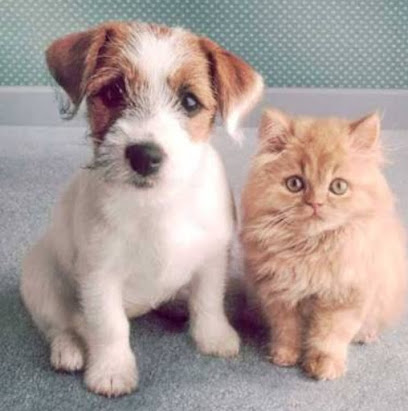 Clínica Veterinária & Pet Shop Cão Chik