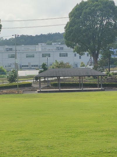 公園 駐車場