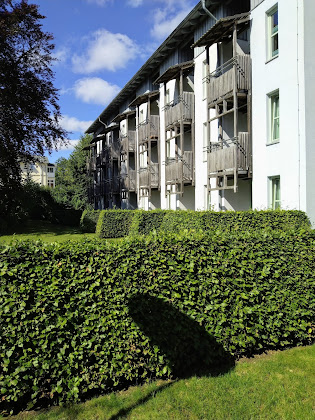 Extérieur Ferienwohnung Rügener Ferienhäuser am Hochufer 18586 Göhren