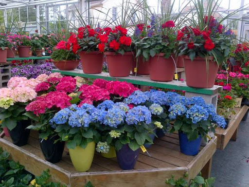 Garden Center «Dees Nursery & Florist», reviews and photos, 69 Atlantic Ave, Oceanside, NY 11572, USA