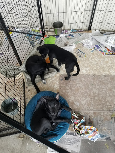 Pet Supply Store «Rosedale Mills», reviews and photos, 101 NJ-31, Pennington, NJ 08534, USA