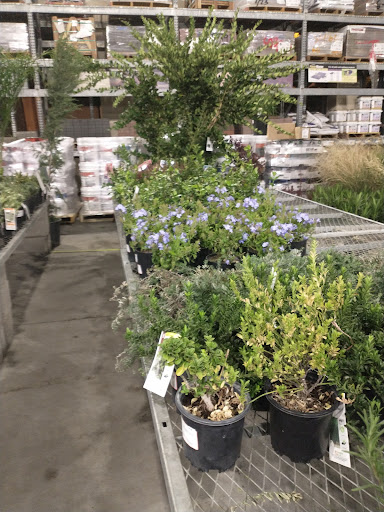 Home Improvement Store «The Home Depot», reviews and photos, 5010 Feather River Dr, Stockton, CA 95219, USA