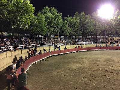 Arènes Municipales à Codognan