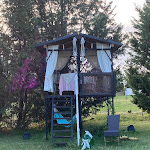 Photo n°3 de l'avis de Laura.r fait le 13/08/2022 à 15:05 sur le  Pitocca - New Classic Restaurant à Villa Motta