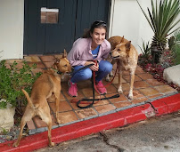 Cuddle Bear Pet Care, LLC - Photo 9 - Car repair in , Simi Valley