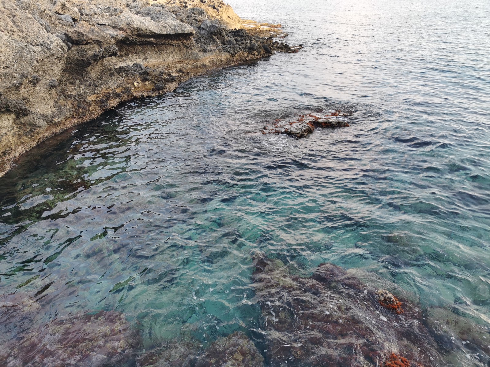 Fokia Bay'in fotoğrafı küçük koy ile birlikte