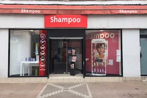 Salon Shampoo Carvin image