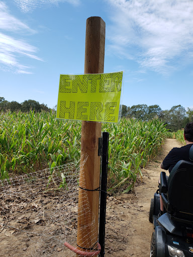 Tourist Attraction «Cajun Country Corn», reviews and photos, 40833 LA-16, Amite City, LA 70422, USA