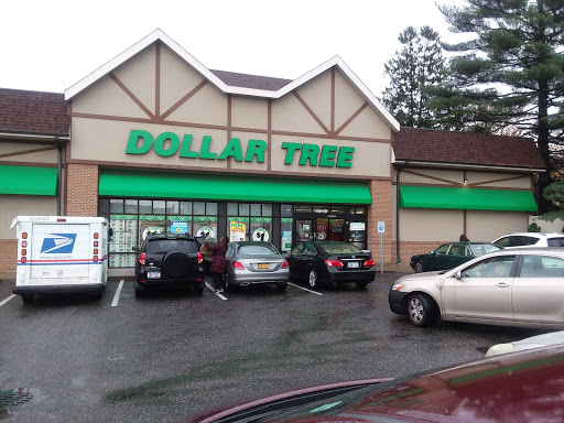 Dollar Store «Dollar Tree», reviews and photos, 250 Jericho Turnpike #80, Floral Park, NY 11001, USA