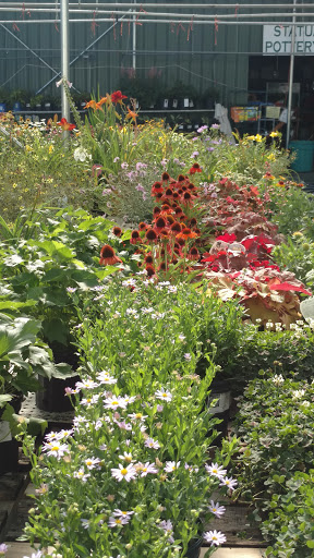 Garden Center «Agriventures Agway», reviews and photos, 126 Housatonic Ave, New Milford, CT 06776, USA