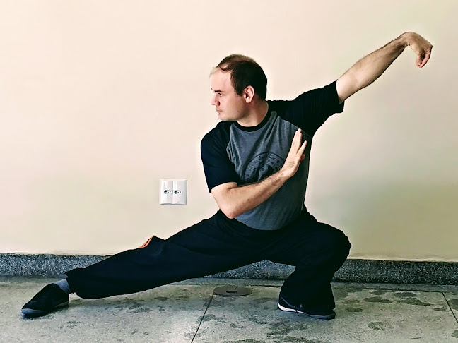 Academia Câmara Shaolin - Kung Fu, Tai Chi, Sanda e Krav Maga - Academia
