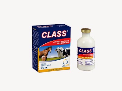 Photos of CCLabs