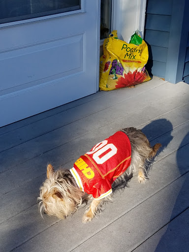 Pet Supply Store «Petco Animal Supplies», reviews and photos, 438 Southbridge St, Auburn, MA 01501, USA