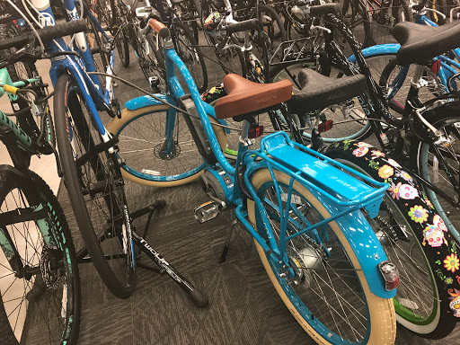 Camping Store «REI», reviews and photos, 12634 N Paradise Village Pkwy W, Phoenix, AZ 85032, USA