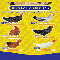 ANIMALIA Servicios Agropecuarios - Quevedo