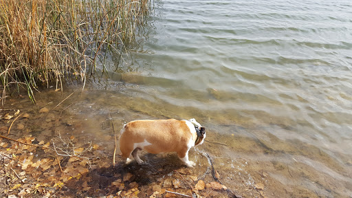 Park «Quail Lake Park», reviews and photos, 915 E Cheyenne Mountain Blvd, Colorado Springs, CO 80906, USA