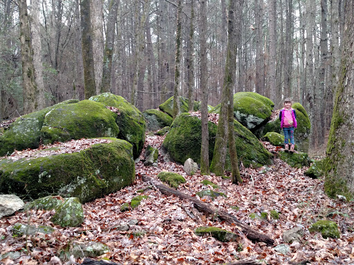 Wildlife Park «Charlie Elliott Wildlife Center», reviews and photos, 543 Elliott Trail, Mansfield, GA 30055, USA