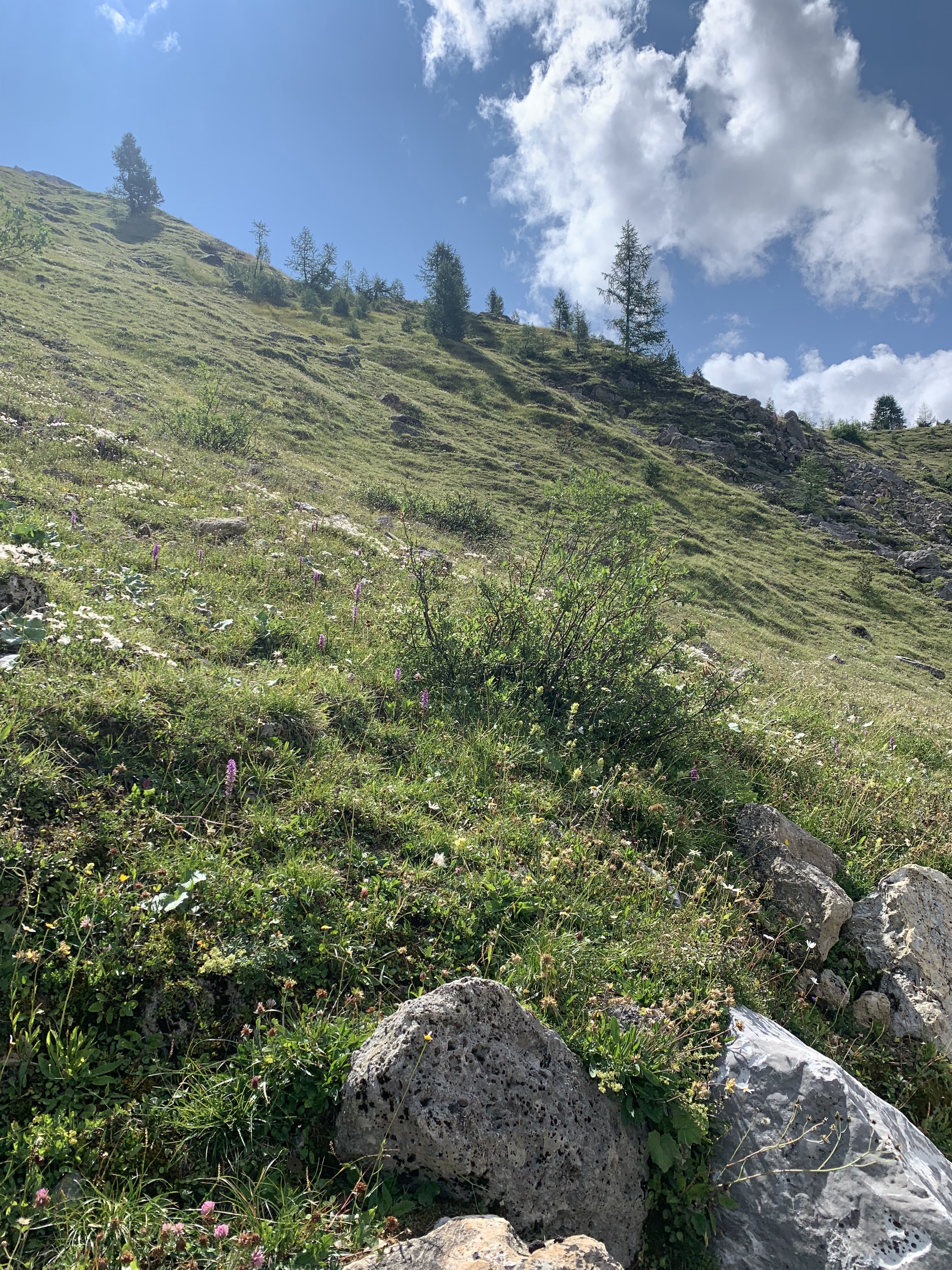 Photo n° 28 de l'avis de Valérie. fait le 29/08/2021 à 07:16