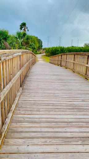 Nature Preserve «Mobbly Bayou Wilderness Preserve», reviews and photos, 423 Lafayette Blvd, Oldsmar, FL 34677, USA