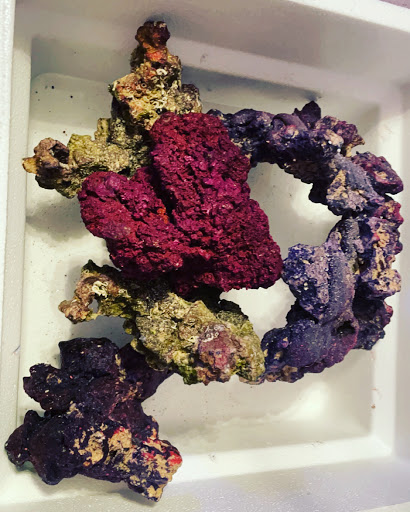 Pet Store «Wet Pets», reviews and photos, 3010 McGehee Rd, Montgomery, AL 36111, USA