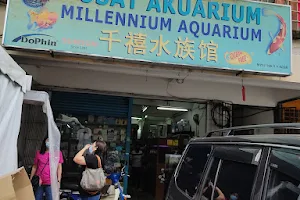 Millennium Aquarium image