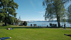 Photo de Strandbad Tiefenbrunnen zone des équipements