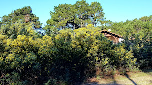 Photo n°1 de Biscarrosse Olympique Tennis Club à Biscarrosse ()