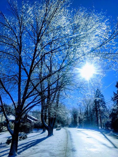 Park «Stoddard Park», reviews and photos, Norfolk St, Holliston, MA 01746, USA