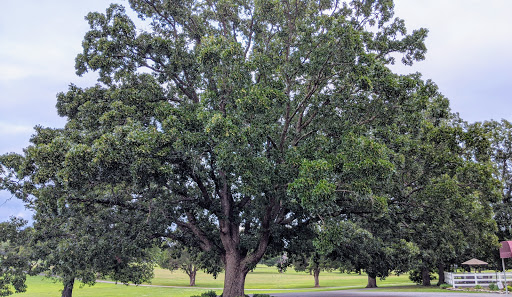 Country Club «Lebanon Golf & Country Club», reviews and photos, 1300 Coles Ferry Pike, Lebanon, TN 37087, USA