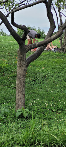 Park «Elmhurst Park», reviews and photos, 57th Ave & Grand avenue, Queens, NY 11373, USA