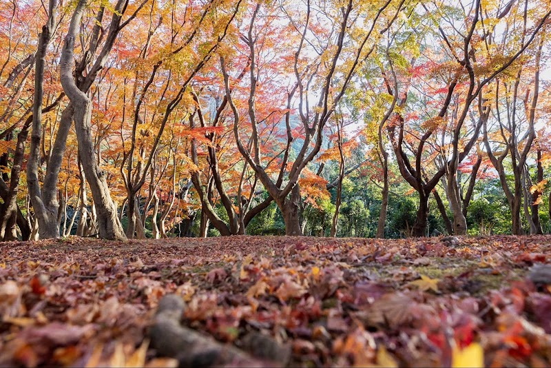 興山園